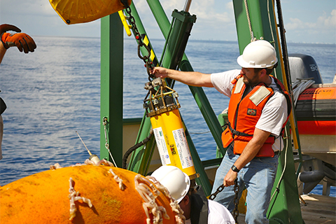 What is the job outlook for ocean engineering